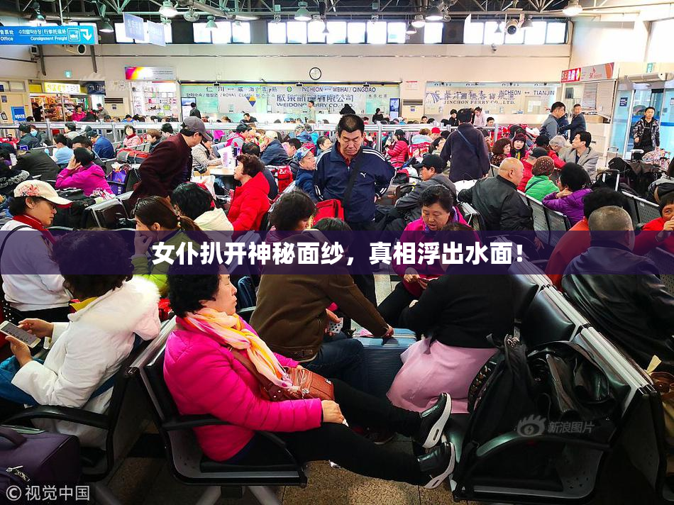 女仆扒开神秘面纱，真相浮出水面！