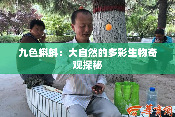 九色蝌蚪：大自然的多彩生物奇观探秘