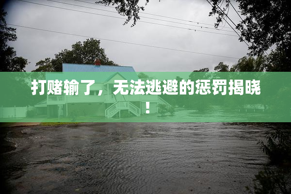打赌输了，无法逃避的惩罚揭晓！