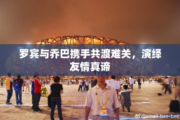 罗宾与乔巴携手共渡难关，演绎友情真谛