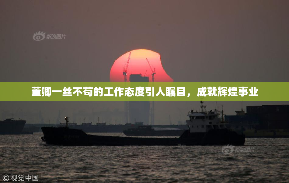 董卿一丝不苟的工作态度引人瞩目，成就辉煌事业