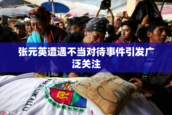 张元英遭遇不当对待事件引发广泛关注