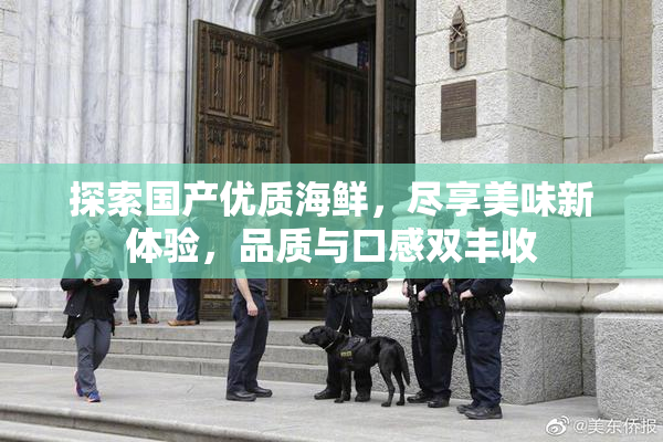 探索国产优质海鲜，尽享美味新体验，品质与口感双丰收