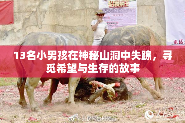 13名小男孩在神秘山洞中失踪，寻觅希望与生存的故事