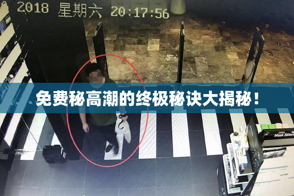 免费秘高潮的终极秘诀大揭秘！