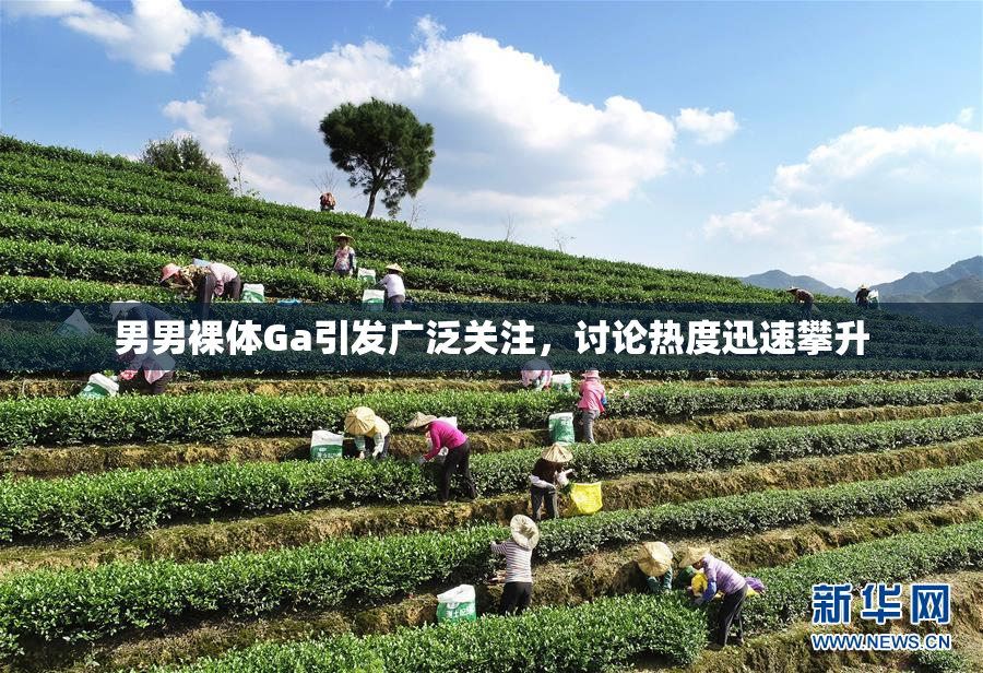 男男裸体Ga引发广泛关注，讨论热度迅速攀升