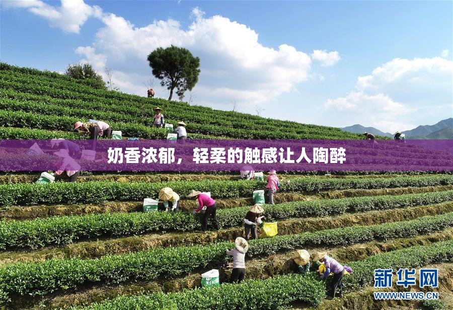 奶香浓郁，轻柔的触感让人陶醉