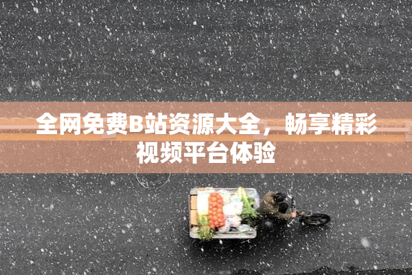 全网免费B站资源大全，畅享精彩视频平台体验