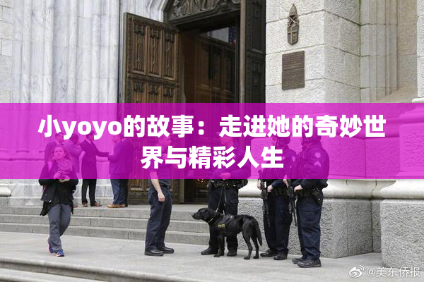 小yoyo的故事：走进她的奇妙世界与精彩人生
