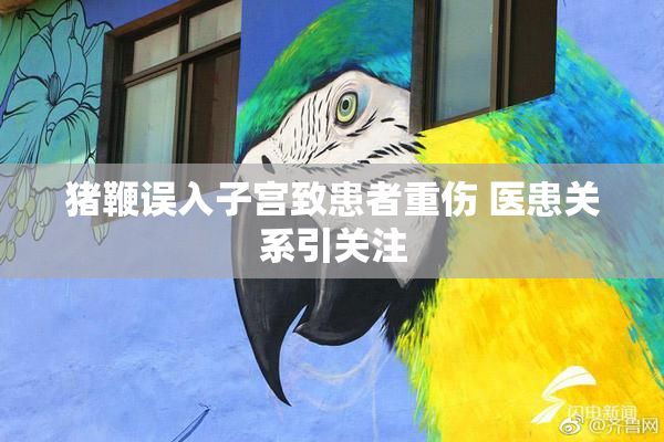 猪鞭误入子宫致患者重伤 医患关系引关注
