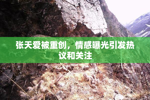 张天爱被重创，情感曝光引发热议和关注