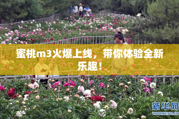 蜜桃m3火爆上线，带你体验全新乐趣！