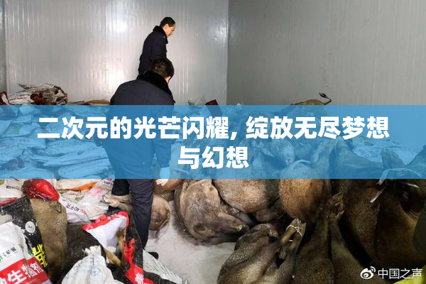 二次元的光芒闪耀, 绽放无尽梦想与幻想