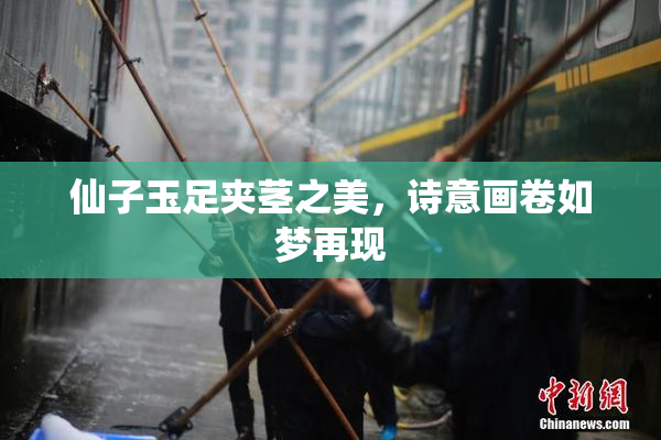 仙子玉足夹茎之美，诗意画卷如梦再现