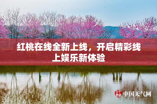 红桃在线全新上线，开启精彩线上娱乐新体验