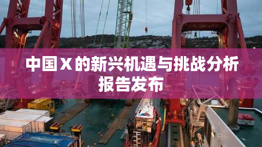 中国Ⅹ的新兴机遇与挑战分析报告发布