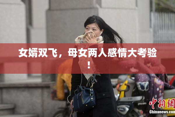 女婿双飞，母女两人感情大考验！