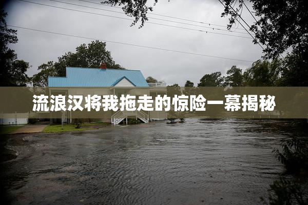 流浪汉将我拖走的惊险一幕揭秘