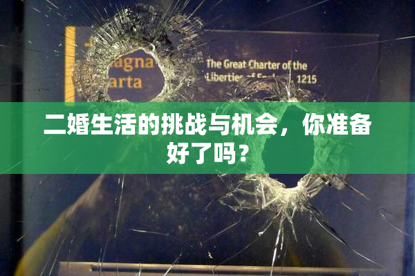 二婚生活的挑战与机会，你准备好了吗？