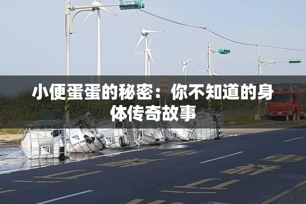 小便蛋蛋的秘密：你不知道的身体传奇故事