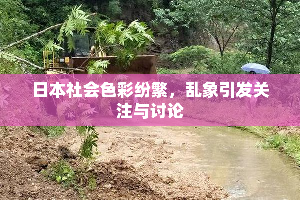 日本社会色彩纷繁，乱象引发关注与讨论