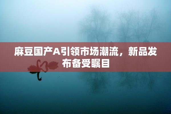 麻豆国产A引领市场潮流，新品发布备受瞩目