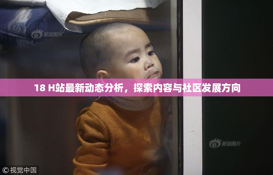 18 H站最新动态分析，探索内容与社区发展方向