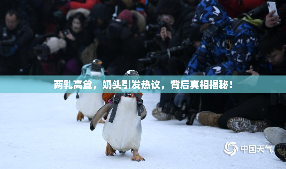 两乳高耸，奶头引发热议，背后真相揭秘！