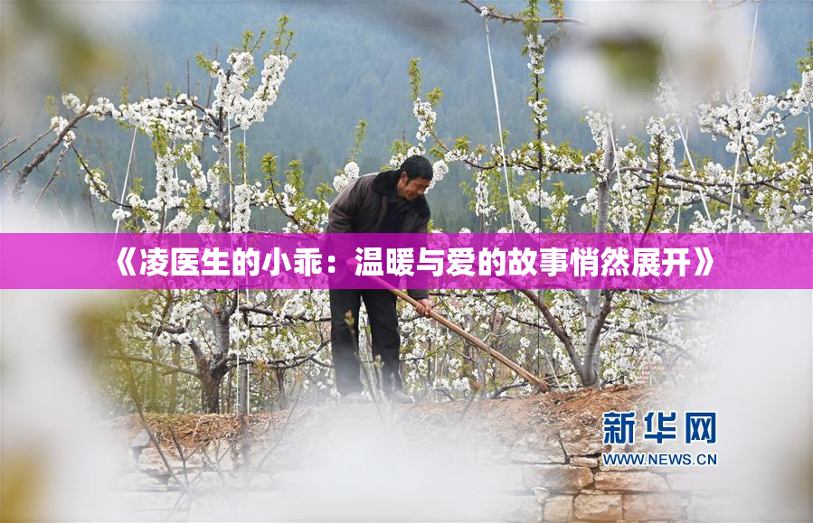 《凌医生的小乖：温暖与爱的故事悄然展开》