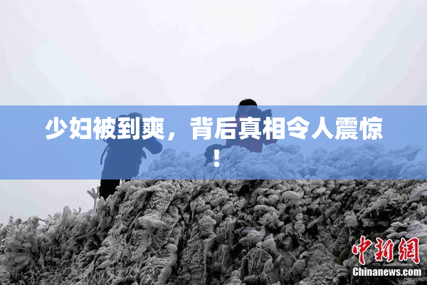 少妇被到爽，背后真相令人震惊！