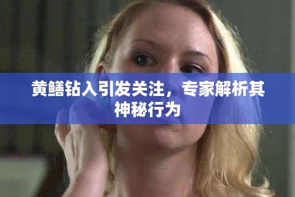 黄鳝钻入引发关注，专家解析其神秘行为