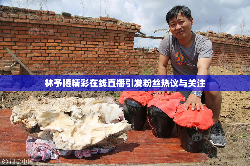 林予曦精彩在线直播引发粉丝热议与关注