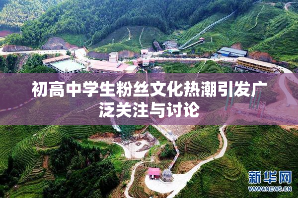 初高中学生粉丝文化热潮引发广泛关注与讨论