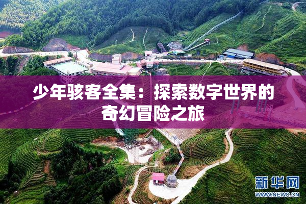 少年骇客全集：探索数字世界的奇幻冒险之旅