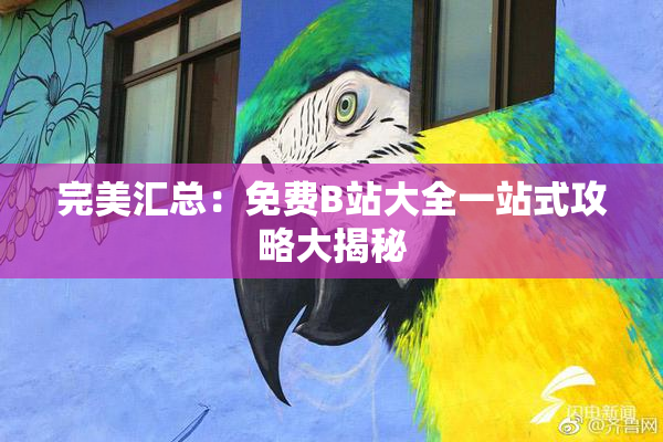 完美汇总：免费B站大全一站式攻略大揭秘