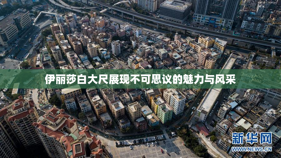 伊丽莎白大尺展现不可思议的魅力与风采