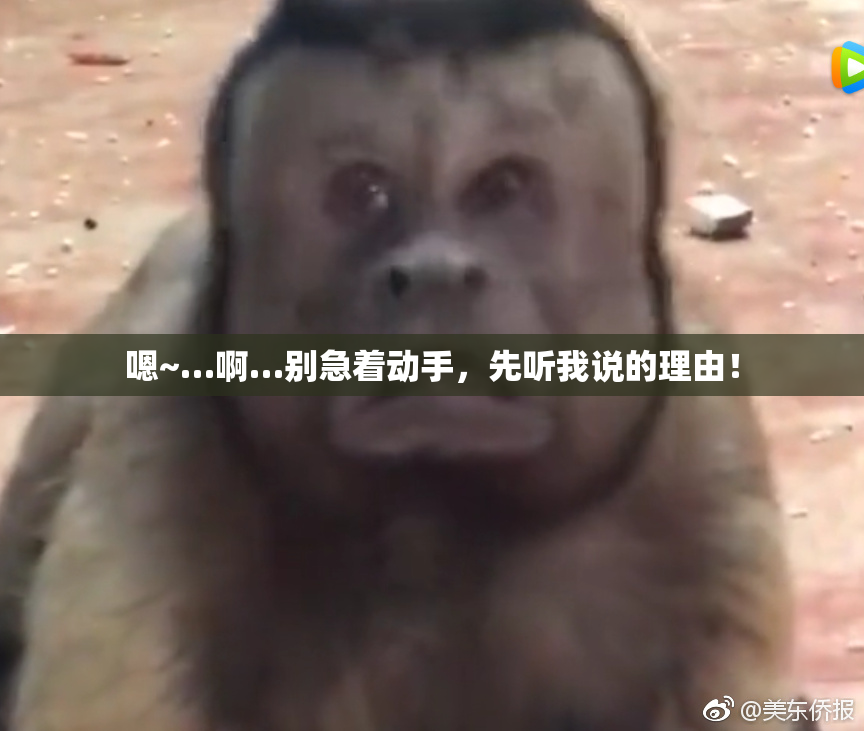 嗯~…啊…别急着动手，先听我说的理由！