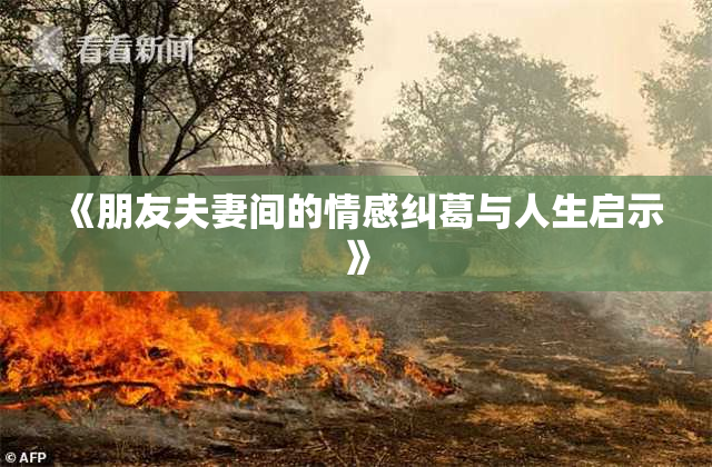 《朋友夫妻间的情感纠葛与人生启示》