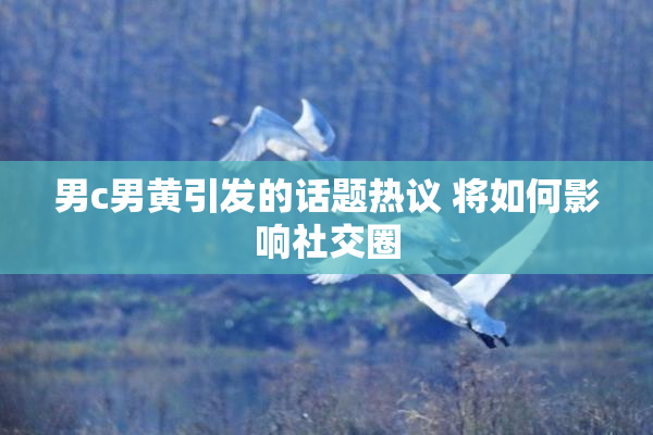 男c男黄引发的话题热议 将如何影响社交圈
