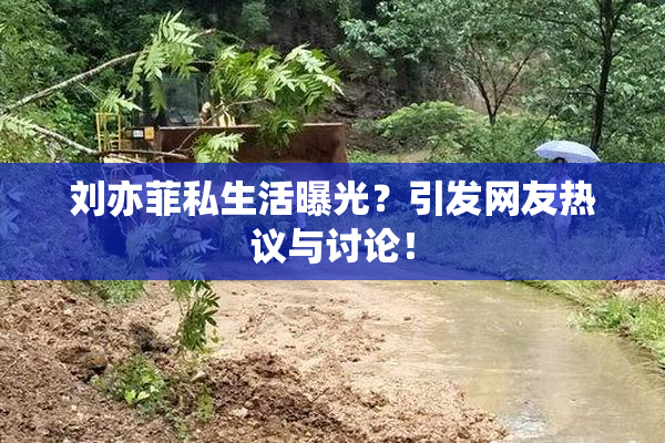 刘亦菲私生活曝光？引发网友热议与讨论！