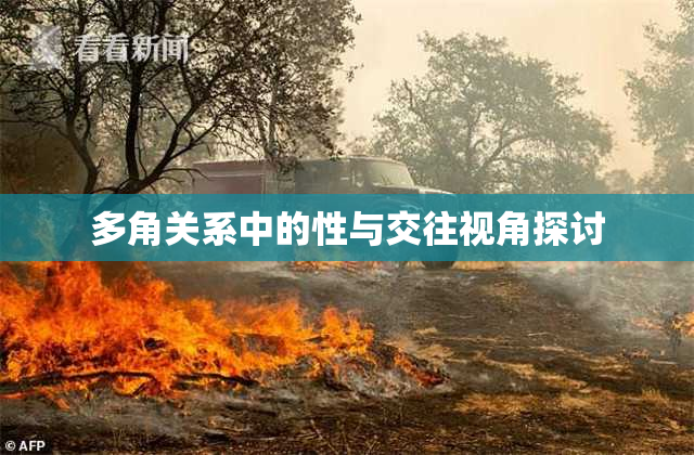 多角关系中的性与交往视角探讨