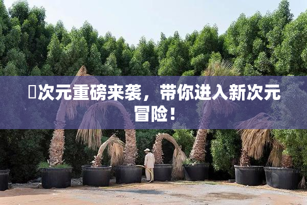 囧次元重磅来袭，带你进入新次元冒险！