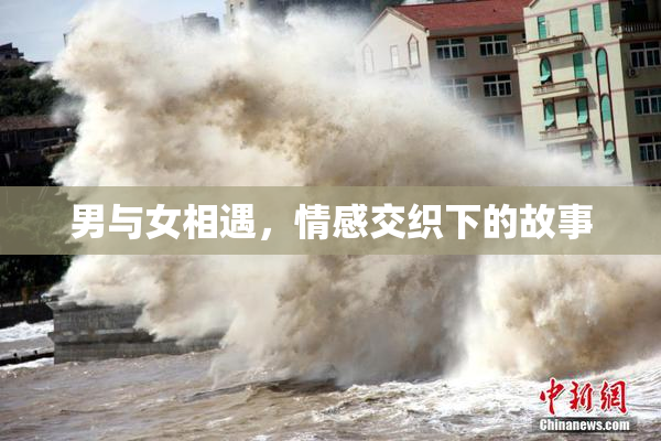 男与女相遇，情感交织下的故事