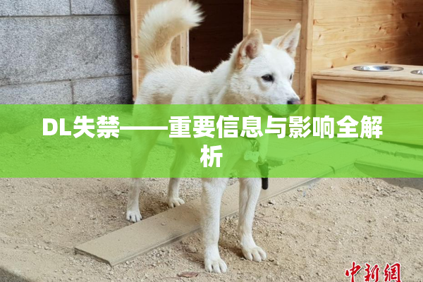 DL失禁——重要信息与影响全解析