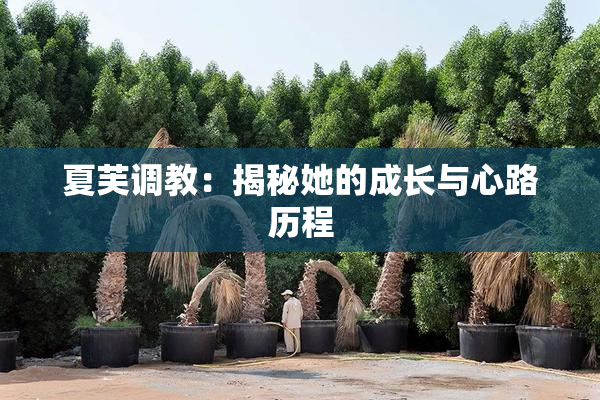 夏芙调教：揭秘她的成长与心路历程
