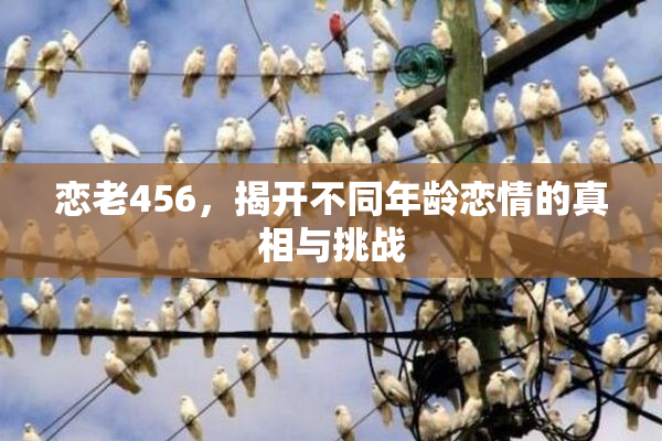 恋老456，揭开不同年龄恋情的真相与挑战