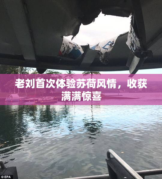 老刘首次体验苏荷风情，收获满满惊喜