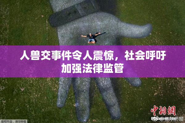 人兽交事件令人震惊，社会呼吁加强法律监管