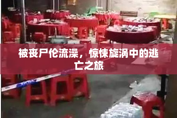 被丧尸伦流澡，惊悚旋涡中的逃亡之旅