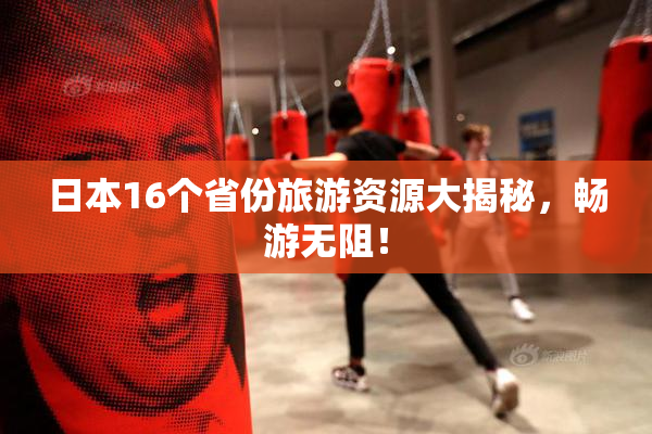 日本16个省份旅游资源大揭秘，畅游无阻！